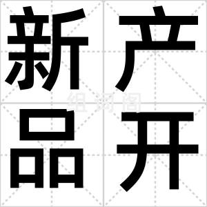 新产品开发