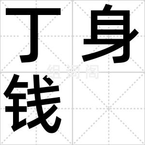 丁身钱