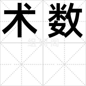 术数