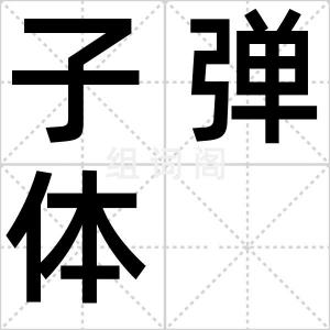 子弹体