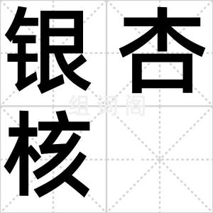 银杏核