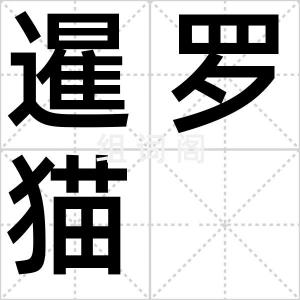 暹罗猫