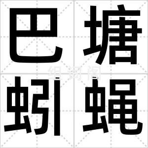 巴塘蚓蝇