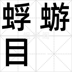 蜉蝣目
