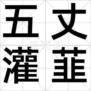 五丈灌韮
