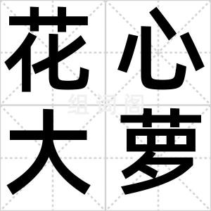 花心大萝卜