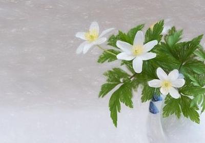 衾组词 有关衾字的词语有哪些(汇总78个)