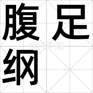 腹足纲
