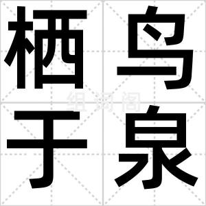 栖鸟于泉