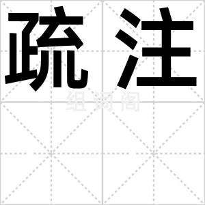 疏注