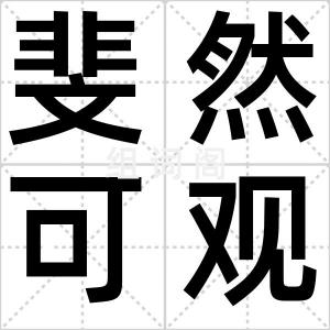 斐然可观