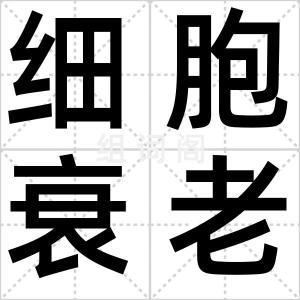 细胞衰老