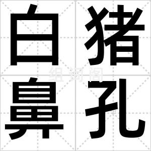白猪鼻孔