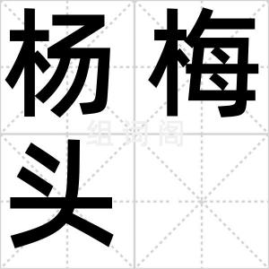 杨梅头