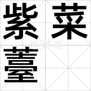 紫菜薹