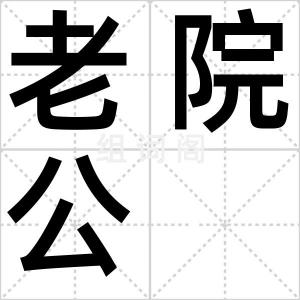 老院公