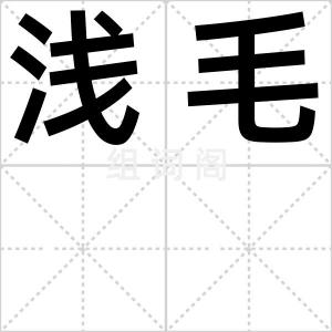 浅毛