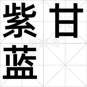紫甘蓝