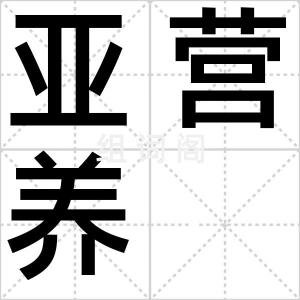 亚营养