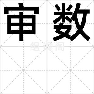 审数