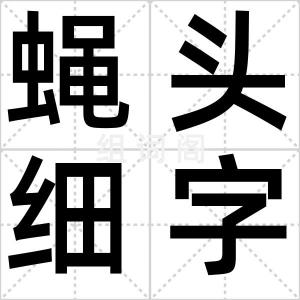 蝇头细字