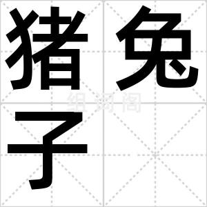 猪兔子