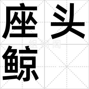 座头鲸