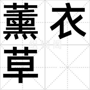 薰衣草