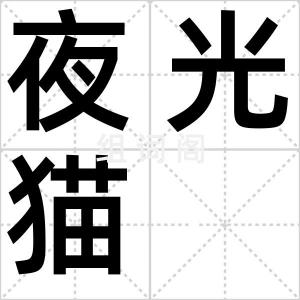 夜光猫