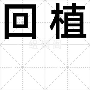 回植