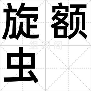 旋额虫