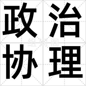 政治协理员