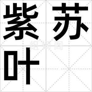 紫苏叶