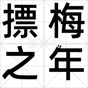 摽梅之年
