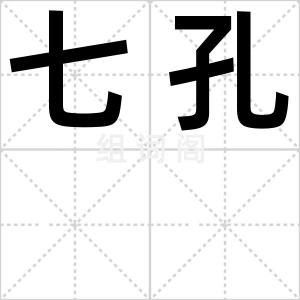 七孔