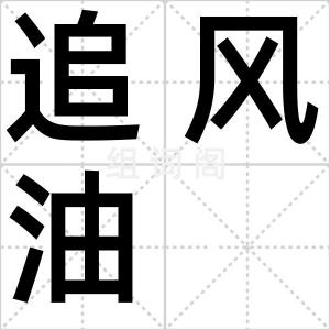 追风油