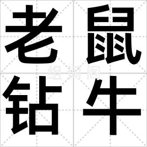 老鼠钻牛角