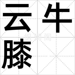 云牛膝
