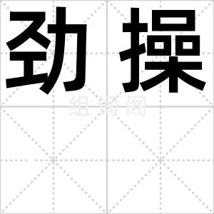 劲操