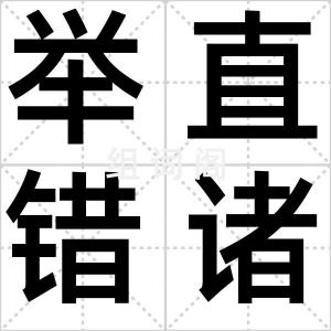 举直错诸枉