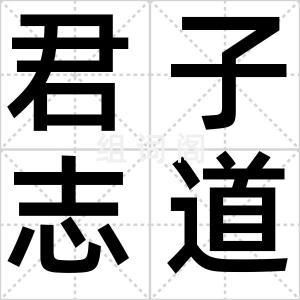 君子志道