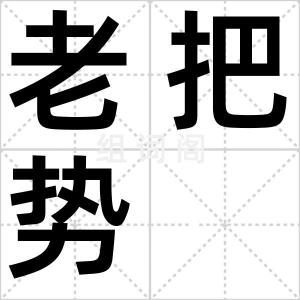 老把势