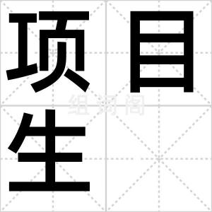 项目生