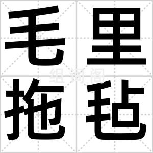 毛里拖毡
