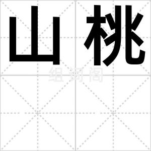 山桃
