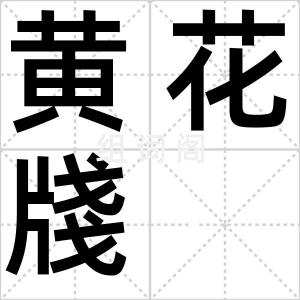 黄花牋
