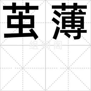 茧薄