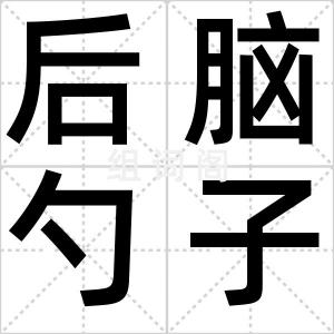 后脑勺子