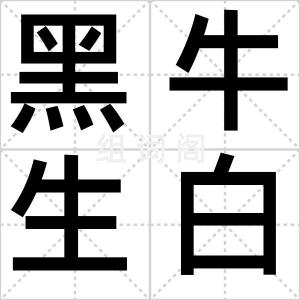 黑牛生白犊