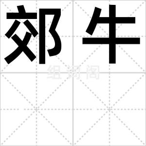 郊牛